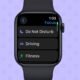 Turn On Do Not Disturb on Apple Watch