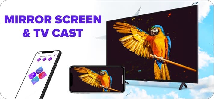 Screen Mirroring   TV Cast iPhone and iPad App Screenshot
