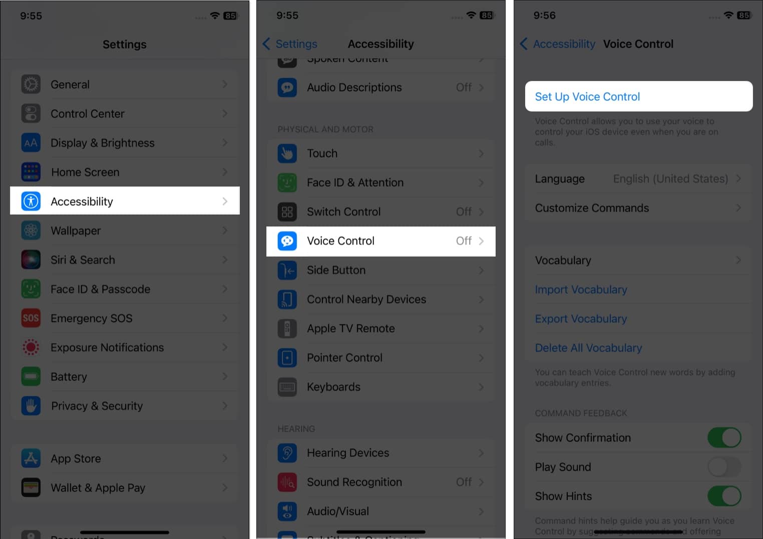 Tap Set Up Voice Control on iPhone