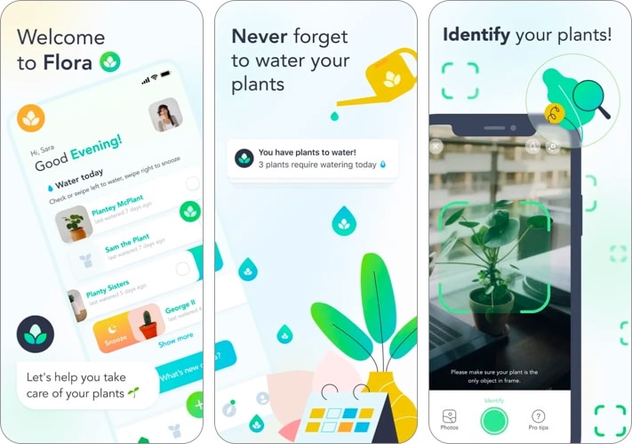 Flora   Plant Care  Diagnosis