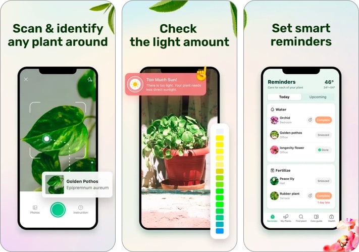 Plant Parent Plant Care Guide