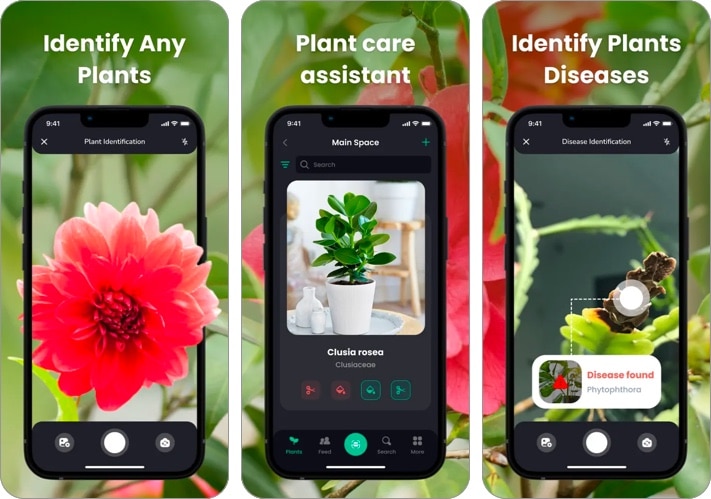 PlantIn Plant Identifier