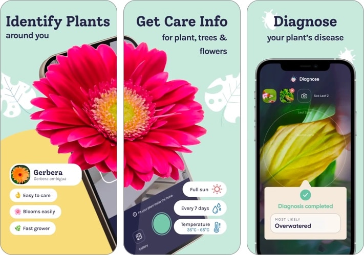 Planty Plant Identifier Care