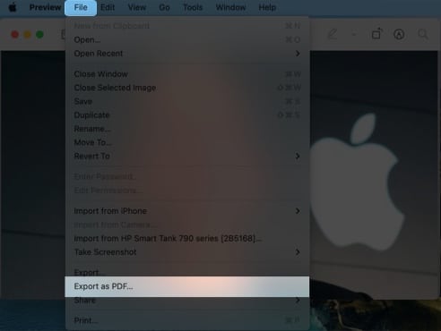Now click the File option from menu and select Export as PDF
