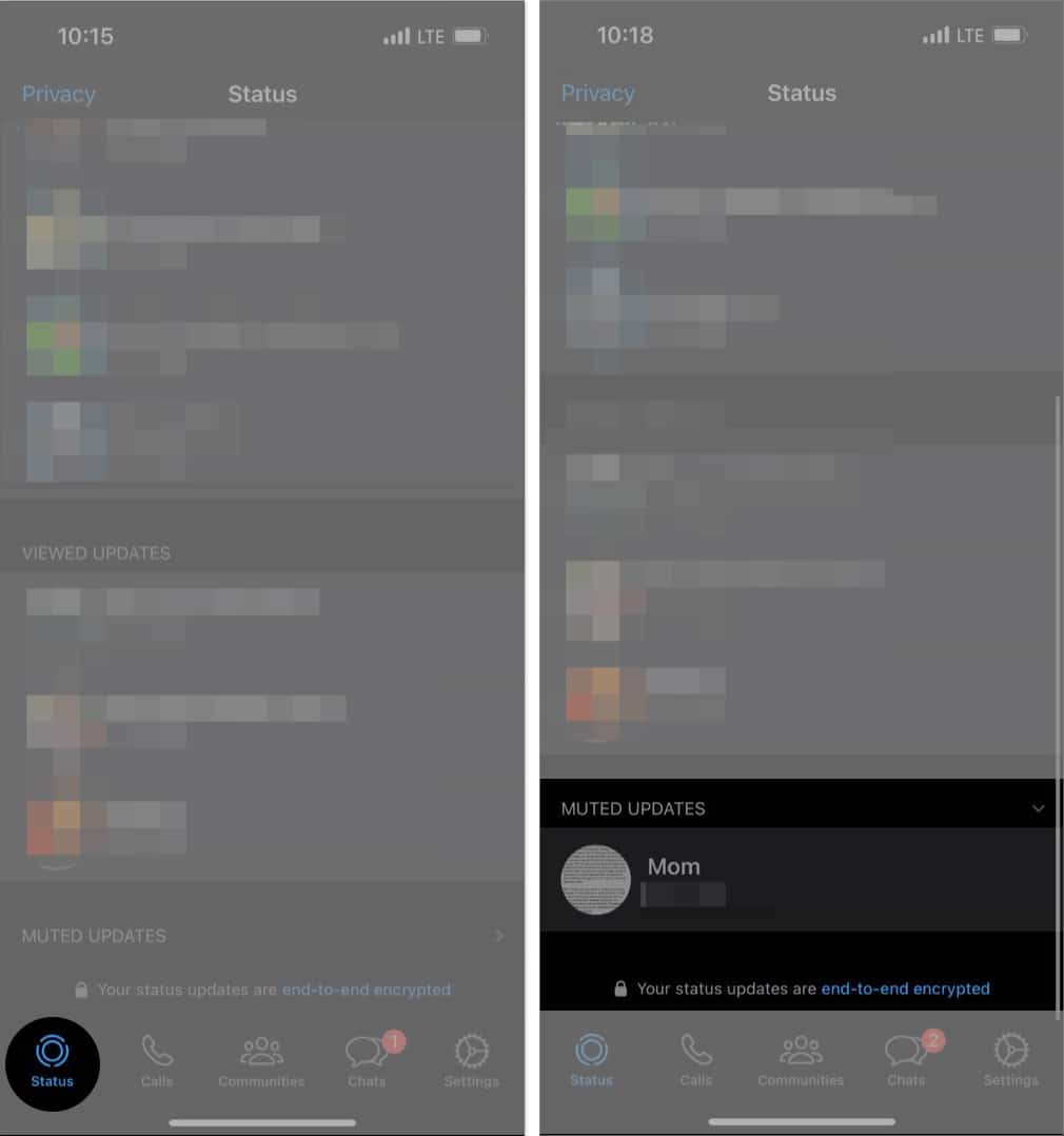Tap on Status and Select Muted Contact in WhatsApp