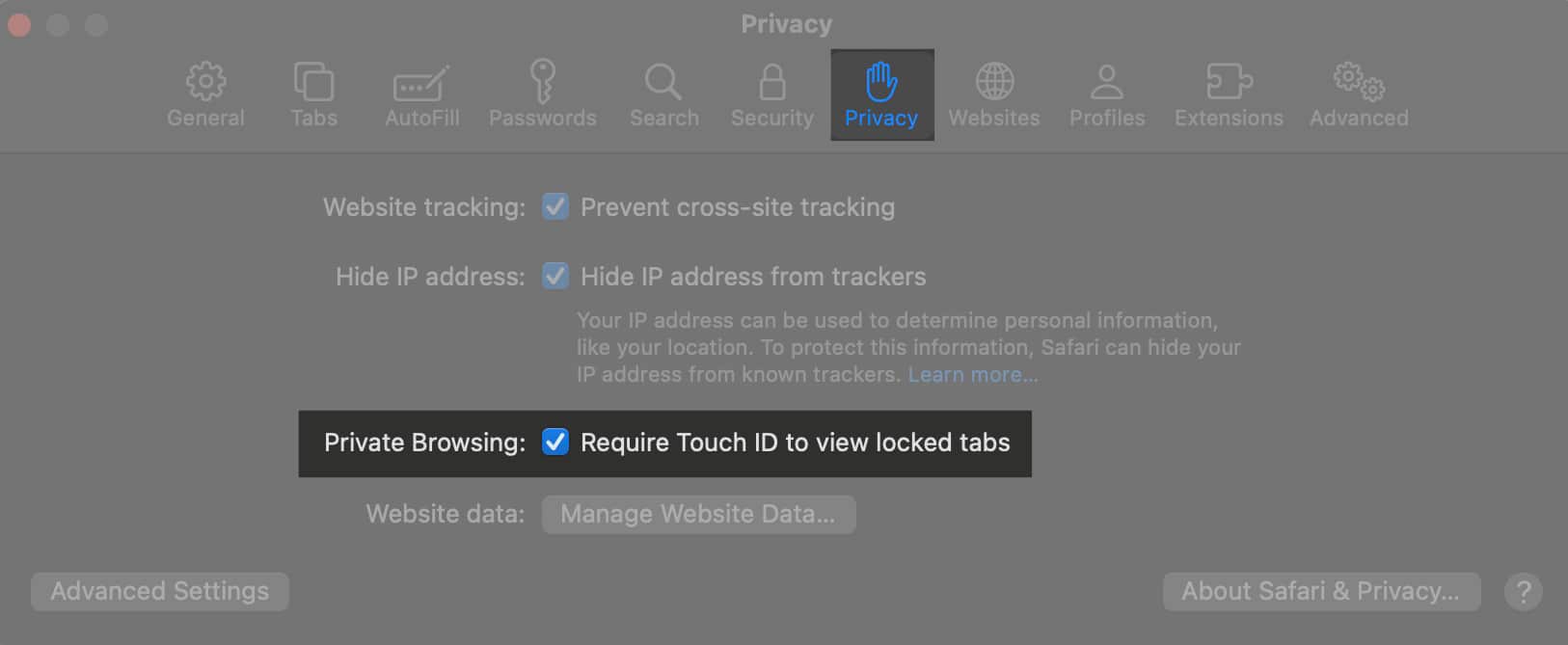 Go to Privacy enable Require Touch ID to view locked tabs