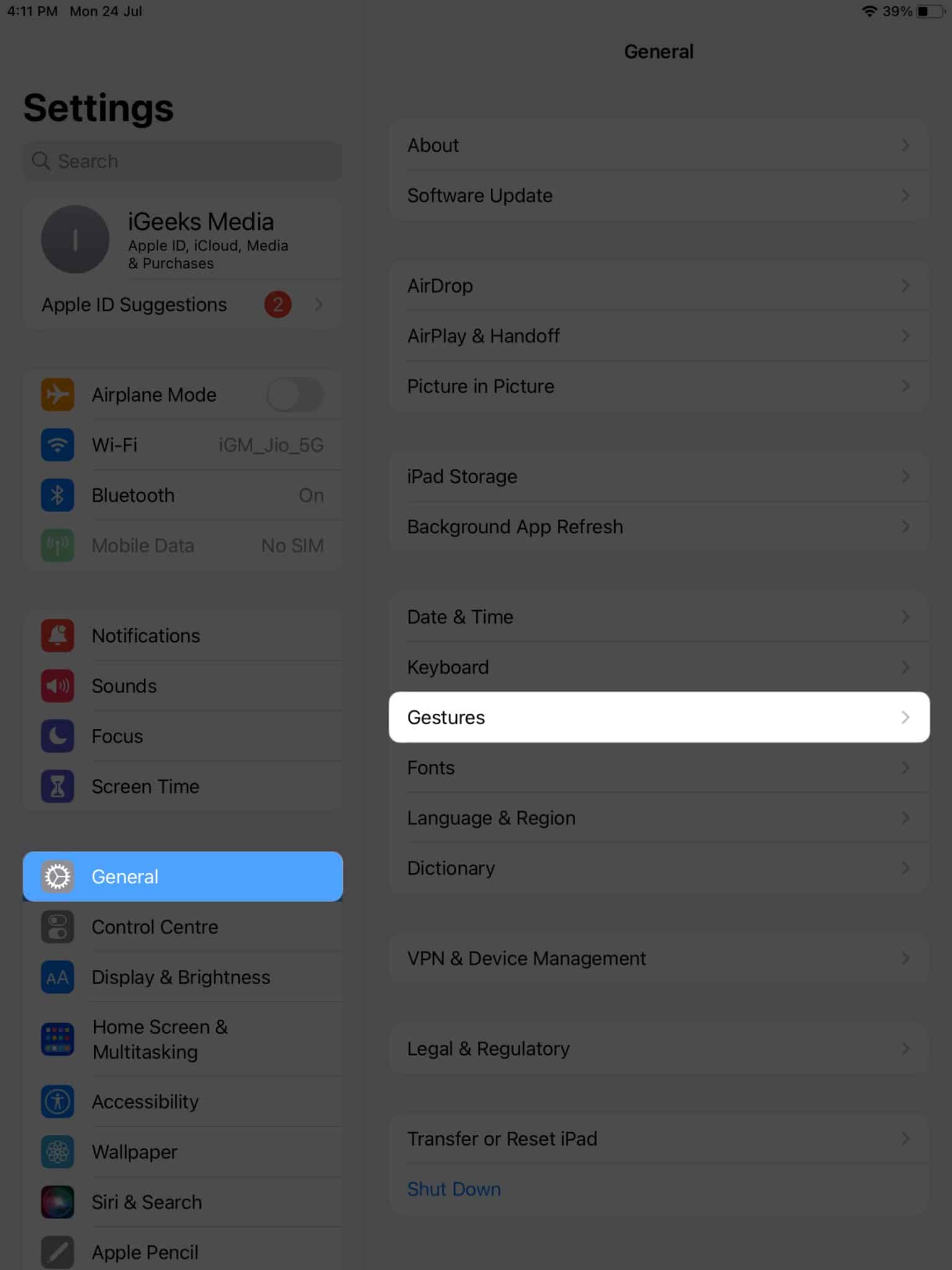 Tap General Gestures in settings