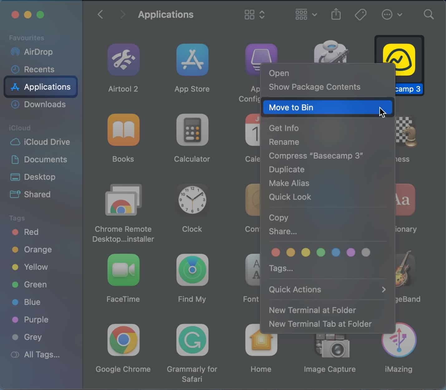 move the app to bin
