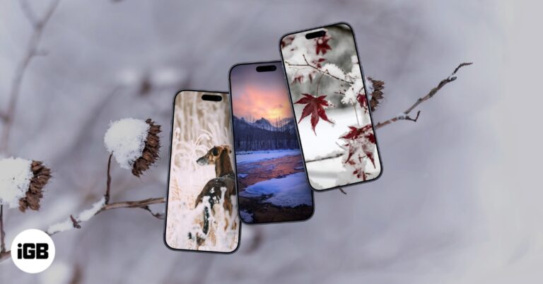 Aesthetic Winter Wallpapers for iPhone