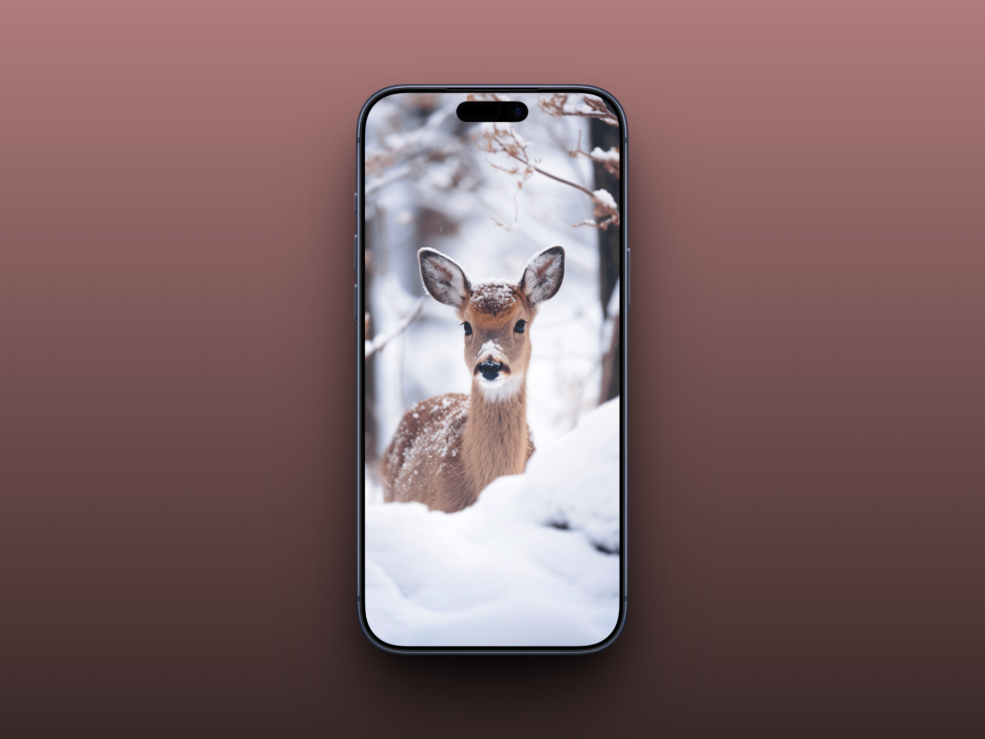 Snowy Deer Portrait