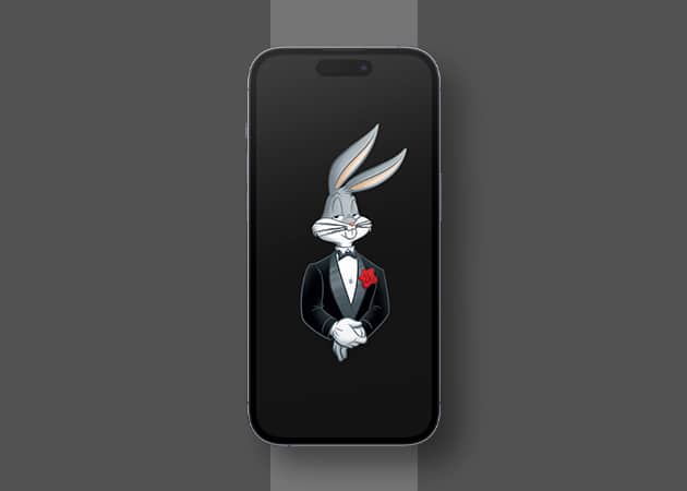 Looney Tunes Cartoon in Black Background  Wallpaper for iPhone