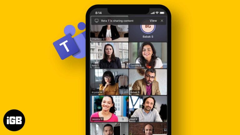 Video conferencing apps for iphone