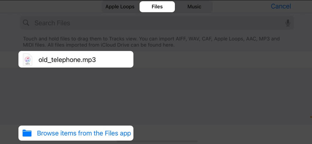 Hold a song for a few seconds to import on iPhone