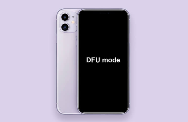 Put iPhone 11 11 Pro 11 Pro Max into DFU Mode