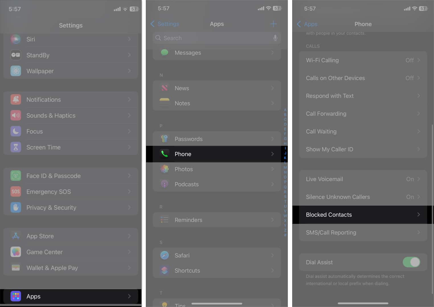 Phone and Blocked Contacts in iPhone Settings app