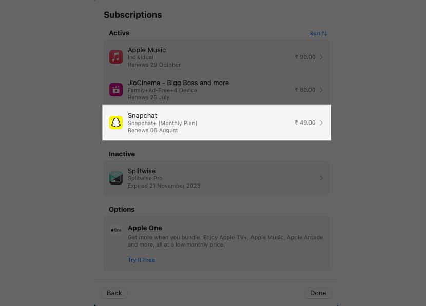 Active subscription detail in the Mac App Store