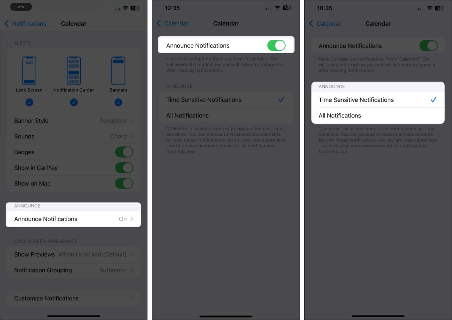Announce Notifications options in the iPhone Settings app
