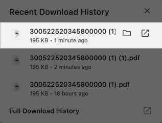 Recent Download History page in Chrome on a Mac