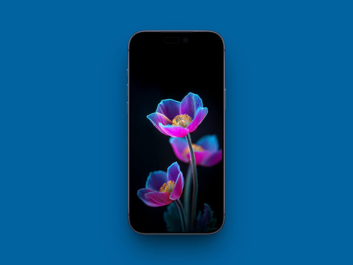 Colorful Dark Flower Wallpaper for iPhone