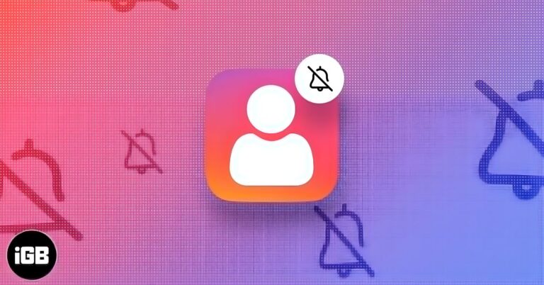 Mute Someone on Instagram