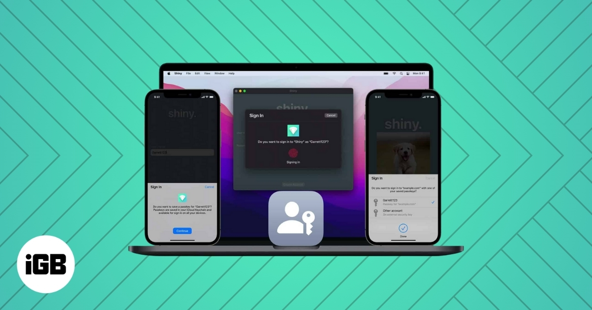 How to setup and use apple passkeys