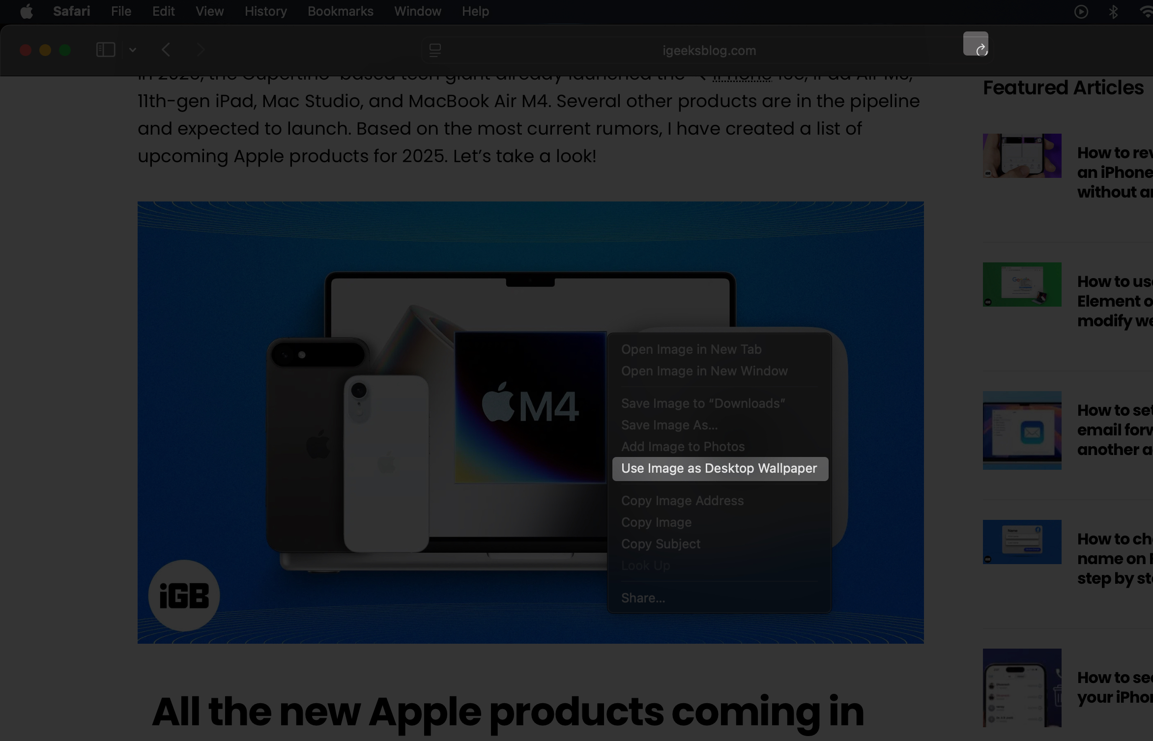Setting an image from a website as a wallpaper on a Mac in the Safari app