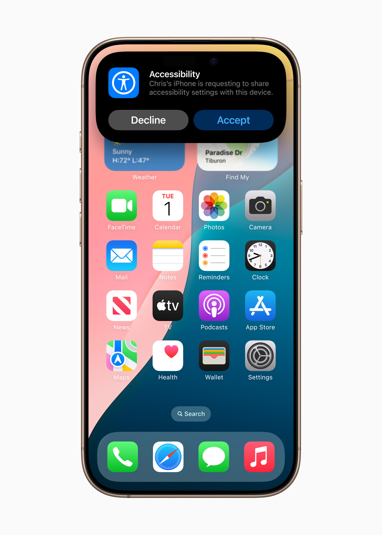 Share Accessibility Settings