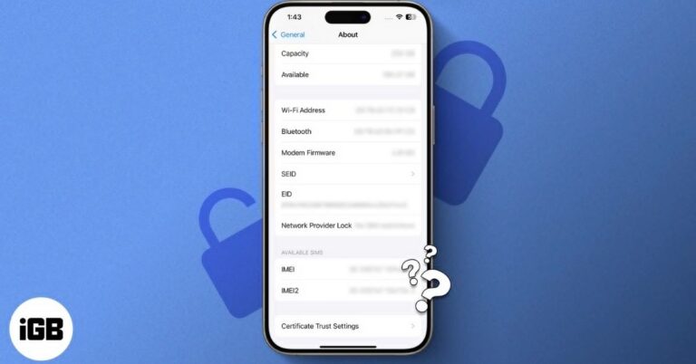 How to Check Your If iPhone Is Unlocked
