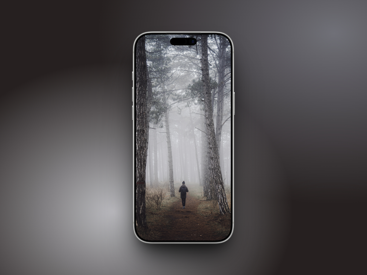 Walking in foggy forest