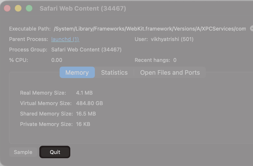 Click the Quit button on the pop-up window