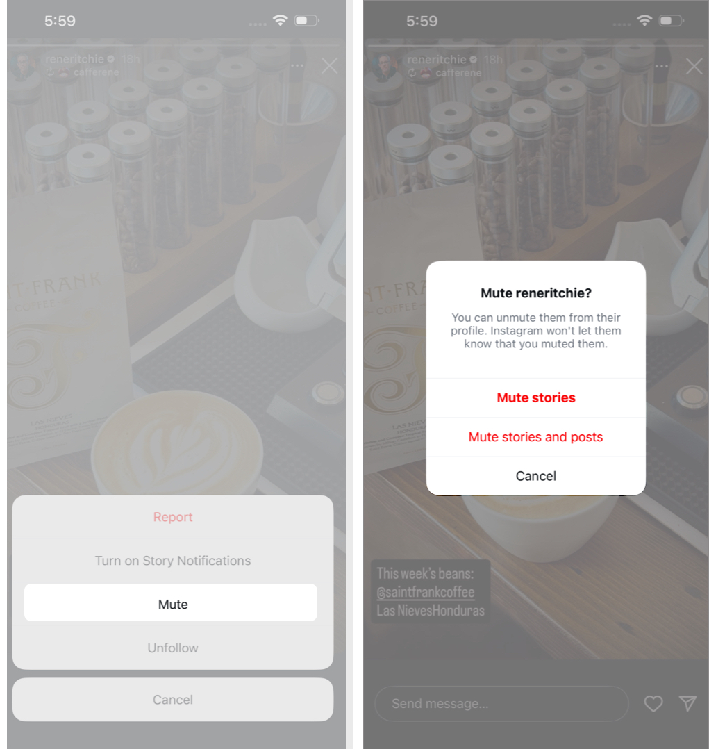 Hold the Profile Picture in Stories, Tap Mute, and Choose Your Mute Options