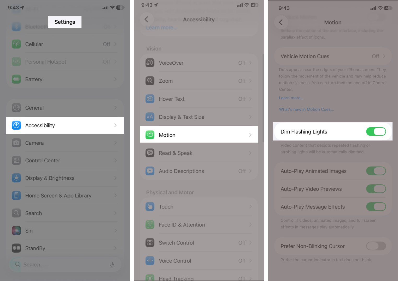 Inside Accessibility, choose Motion and Toggle on Dim Flashing Lights