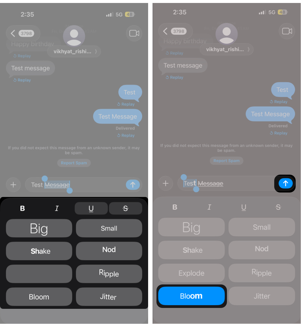 Tap Text Effects, select an animation or format, and tap Send to apply