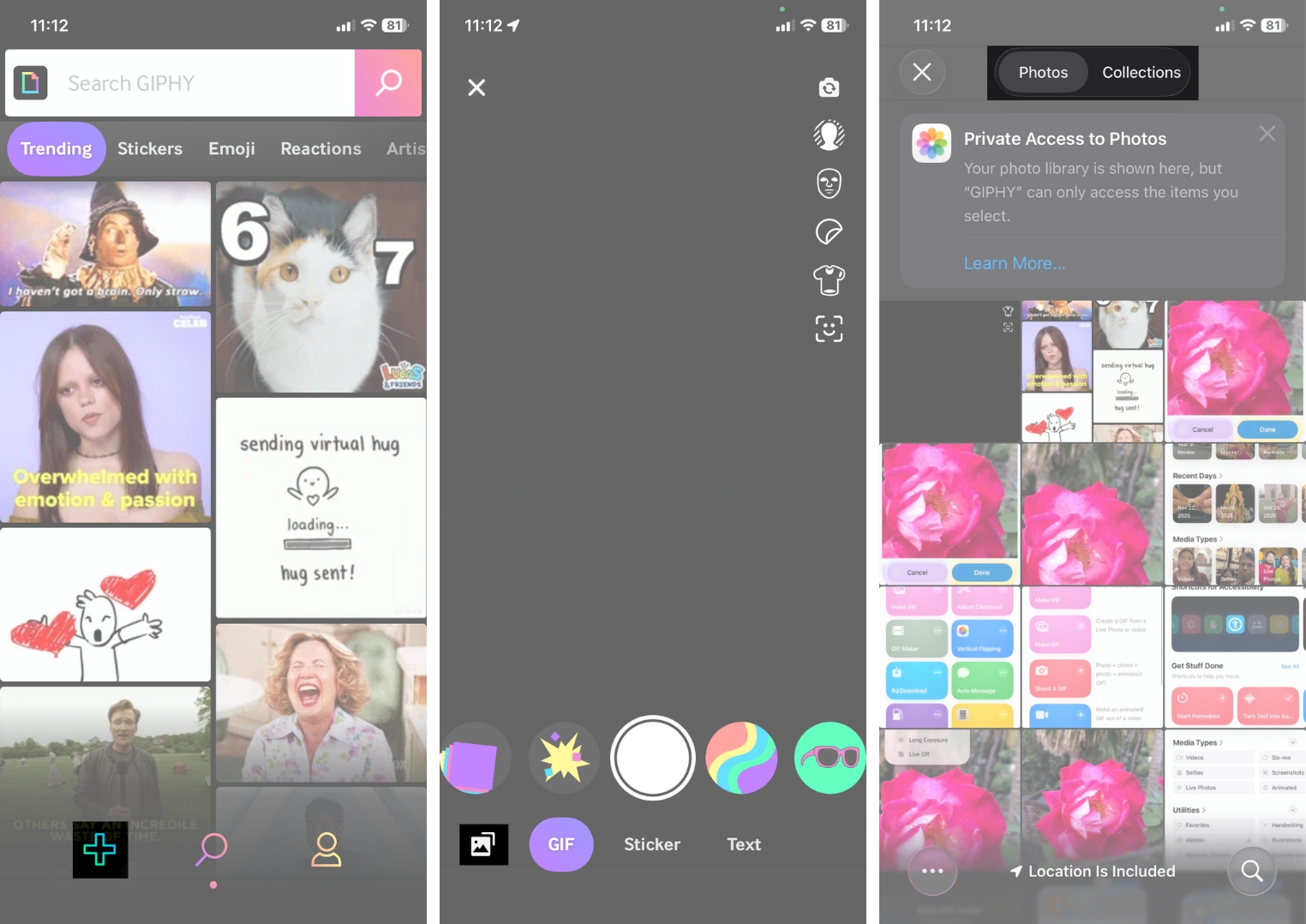 Tap on Photo Icon and Go to Collections Live Photos
