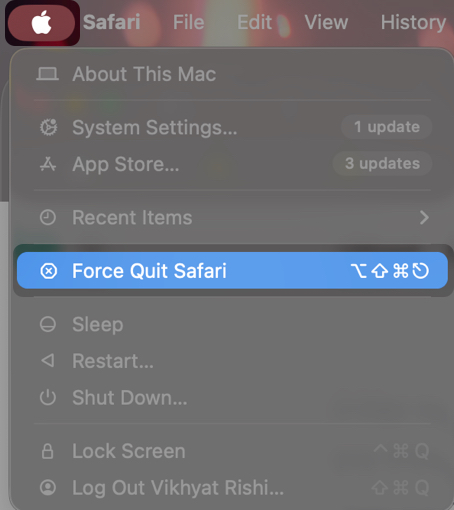 Force Quit Safari and Reopen It