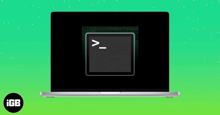 Most Useful Terminal Commands for macOS